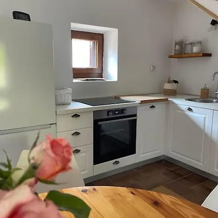 Casa Tiz & Tia - Beautiful Old 3* Stone House Near Visnjan Radossi