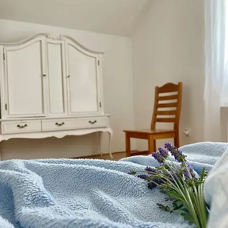 Casa Tiz & Tia - Beautiful Old 3* Stone House Near Visnjan Nyaraló Radossi